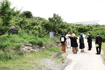 南高梅発祥農園「高田果園」